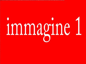 immagine3